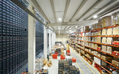 Kod SKU w logistyce – co warto wiedzieć?